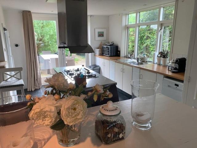 Holiday Home At The Water, Fire Place, Boat And Sup Rent, Near Amsterdam Aalsmeer Buitenkant foto